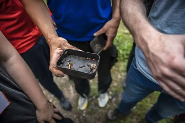 Eine Hand hält eine kleine Dose mit Insekten, umgeben von mehreren Personen