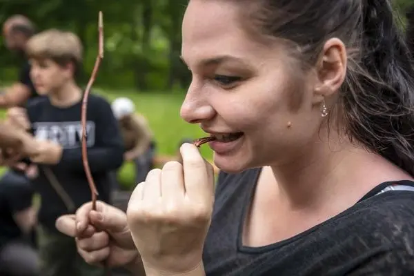 Frau hält einen Zweig im Mund und betrachtet ihn aufmerksam