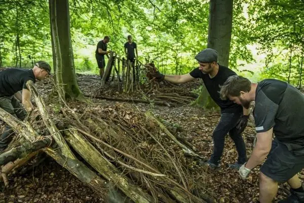 Fünf Personen bauen eine Laubhütte aus Ästen und Laub im Wald