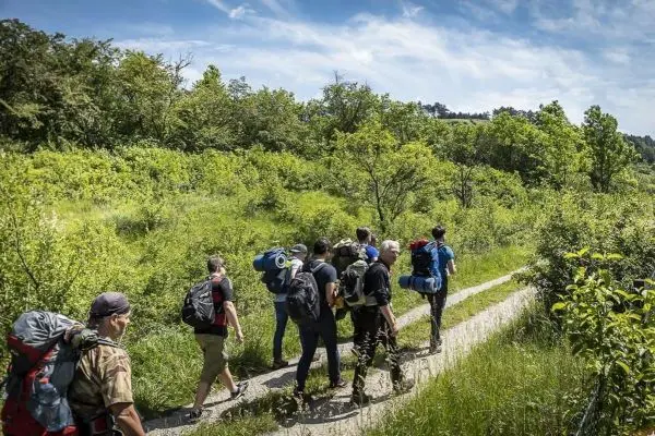 Gruppe mit Rucksäcken wandert auf einem schmalen Weg durch bewachsene Landschaft