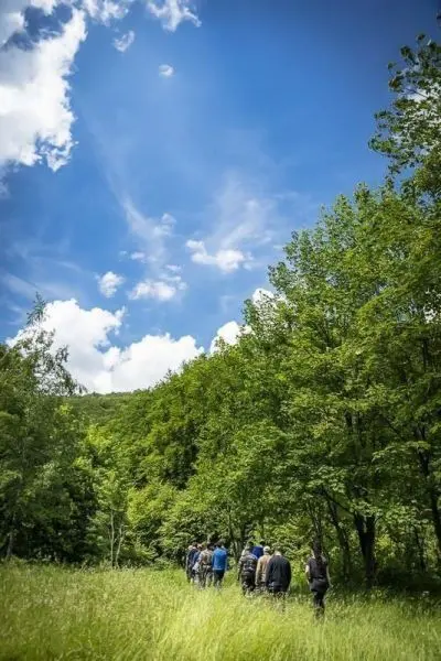 Gruppe von Personen geht durch eine bewaldete Wiese unter blauem Himmel