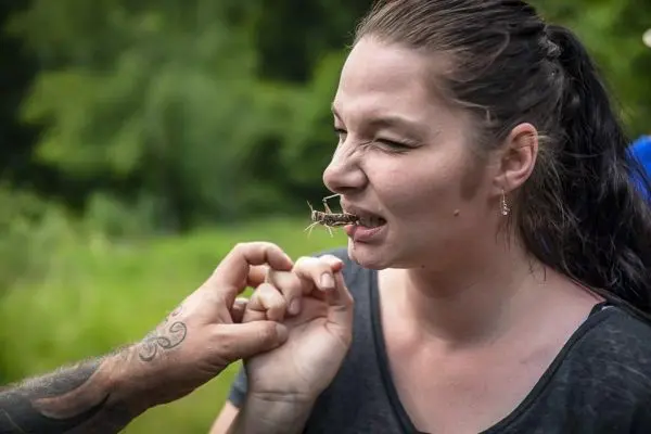 Händed mit Insekt wird in Richtung Mund gehalten