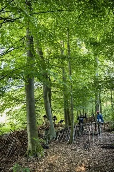 Holzkonstruktion aus Ästen wird im Wald errichtet