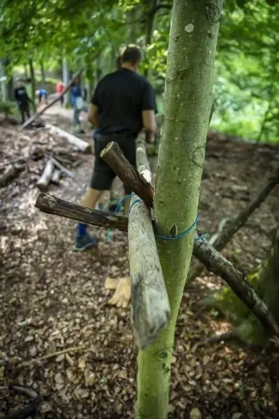 Holzkonstruktion mit Schnüren zur Stabilisierung im Wald
