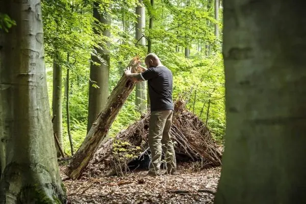 Holzstück wird zur Stabilisierung einer Laubhütte positioniert