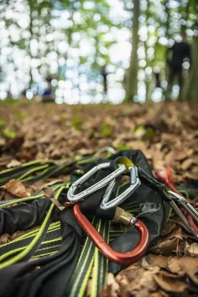 Karabiner und Klettergurt liegen auf Laub im Wald
