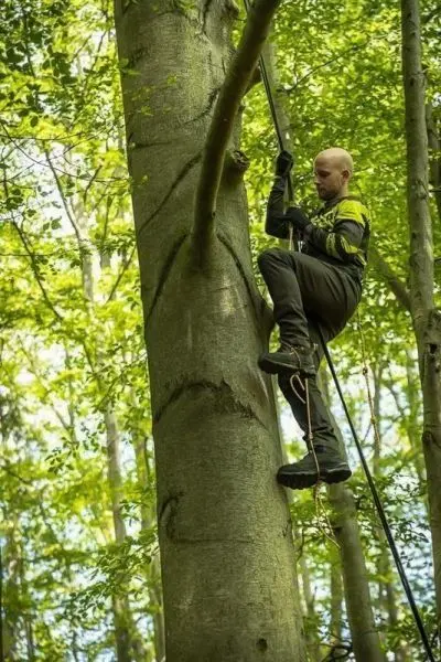 Kletterer nutzt Seiltechnik, um einen Baumstamm zu erklimmen