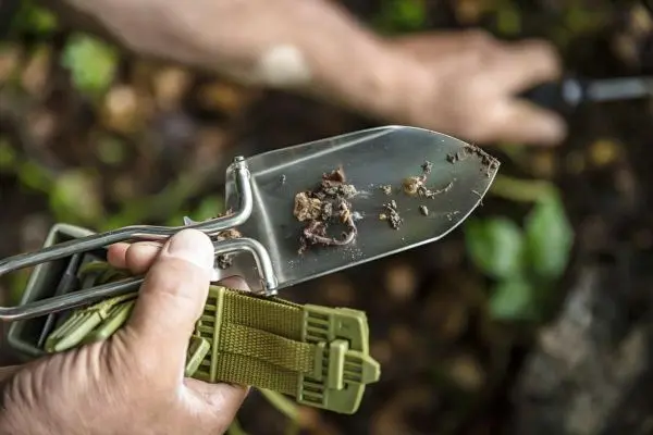 Metallspaten hält Erde und kleine organische Reste in der Hand