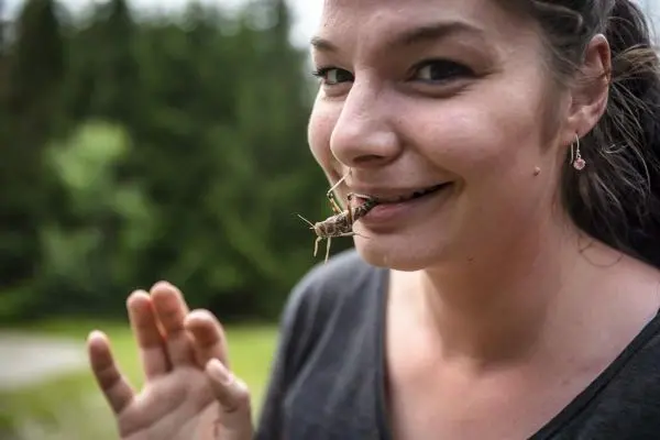 Person hält eine Heuschrecke vor ihrem Gesicht
