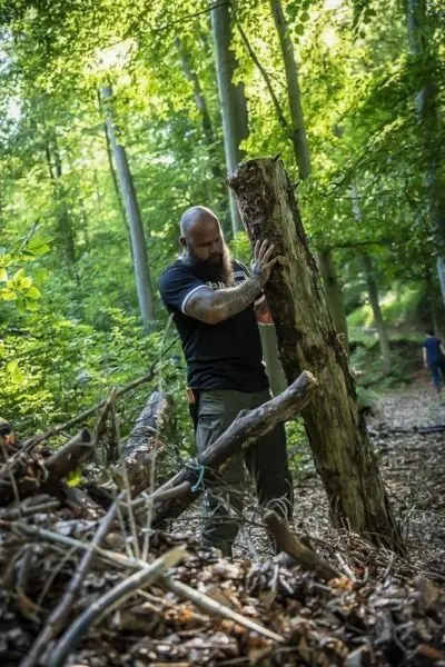 Person hebt einen Baumstamm im Wald an