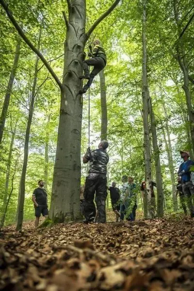 Person klettert an einem Baum hoch, Gruppe beobachtet im Wald