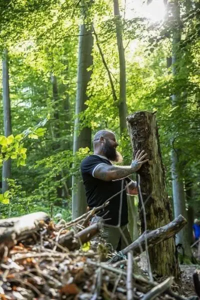 Person stützt einen Baumstamm im Wald auf