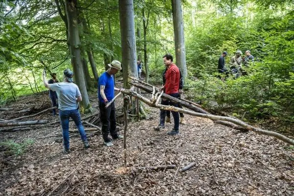 Personen bauen eine selbstgebaute Seilbrücke im Wald
