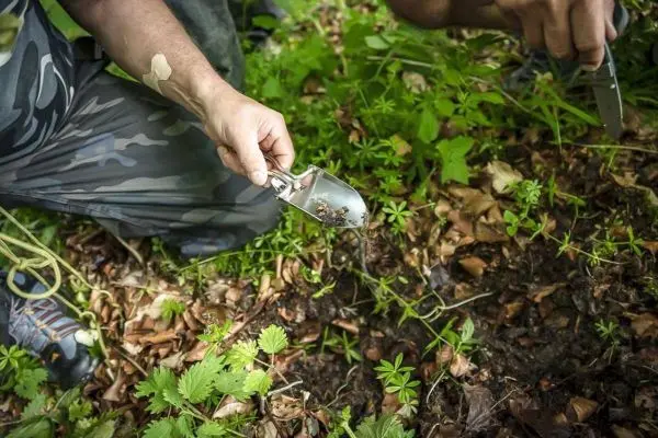 Schaufel hebt Erde in bewaldetem Gebiet mit Pflanzenbewuchs