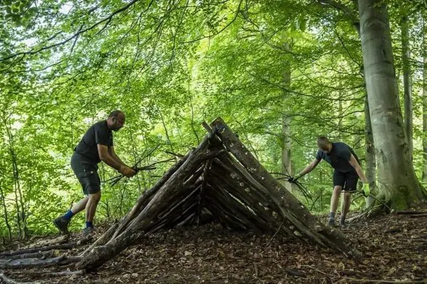 Zwei Personen bauen eine Laubhütte aus Ästen im Wald