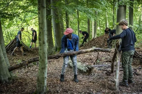 Zwei Personen heben einen dicken Ast, während andere Holz im Wald sammeln