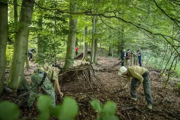 Zwei Personen sammeln Äste im Wald zur Konstruktion einer Notunterkunft
