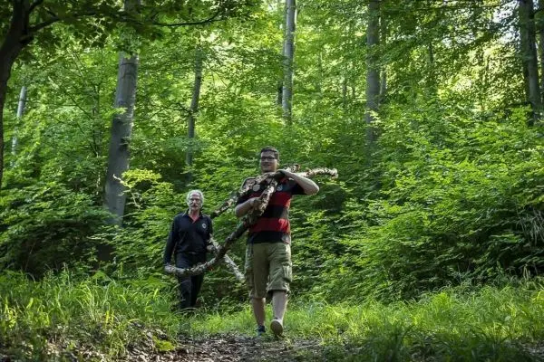 Zwei Personen tragen Holzstücke auf einem Waldweg zwischen Bäumen und Sträuchern