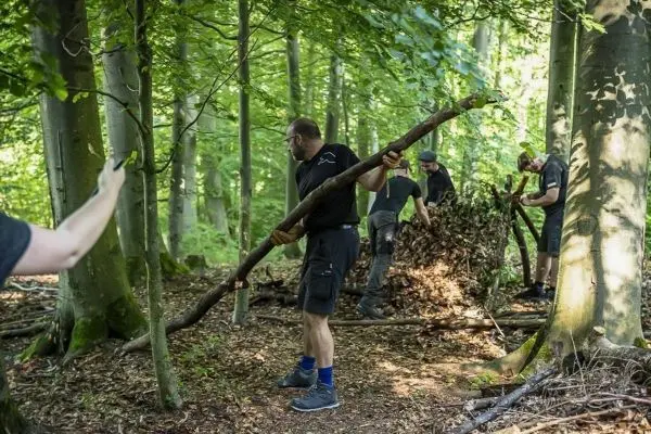 Zweige werden für eine Laubhütte im Wald gesammelt