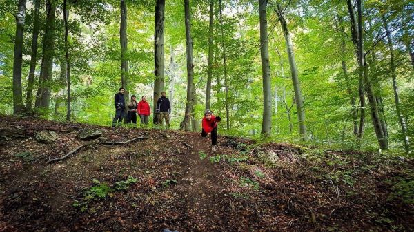 Gruppe steht an einem Hang im Wald zwischen Bäumen und Laub