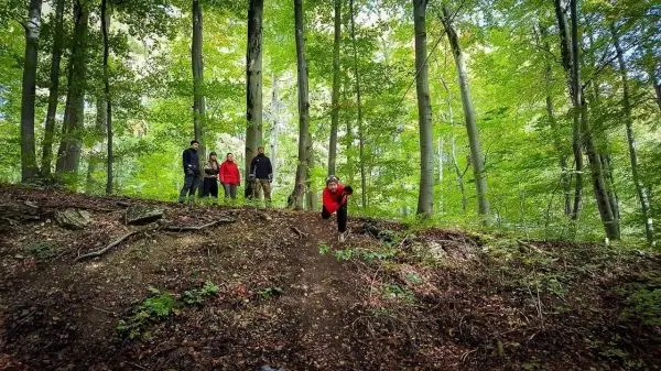 Gruppe steht an einem Hang im Wald zwischen Bäumen und Laub