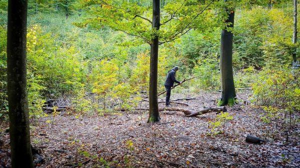 Holz wird mit einer Axt bearbeitet, um Zunder zu gewinnen