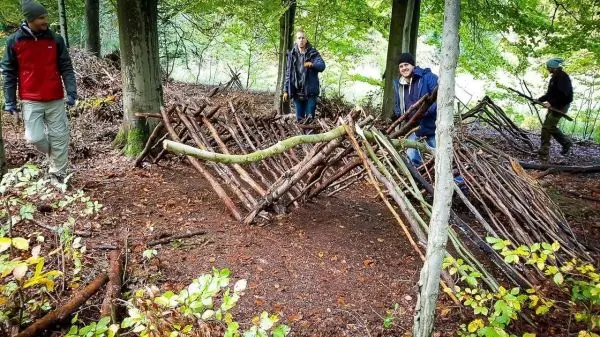 Holzkonstruktion aus Ästen wird als Notunterkunft im Wald errichtet