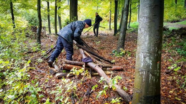 Holzstämme werden im Wald zu einer Struktur angeordnet