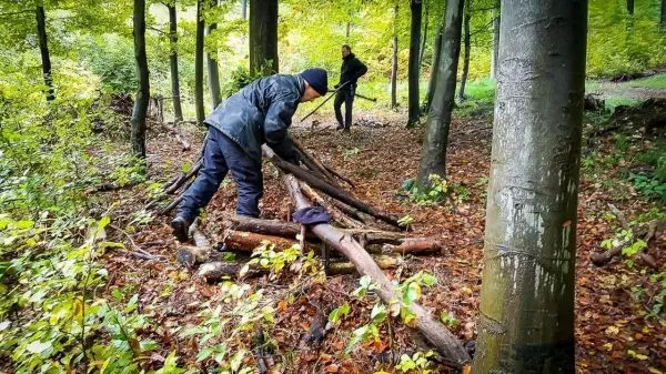 Holzstämme werden im Wald zu einer Struktur angeordnet