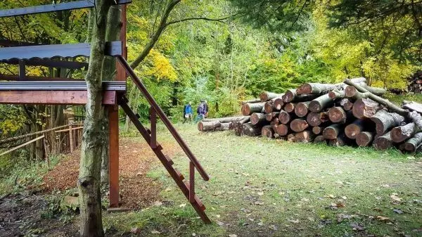 Holzstapel neben einer Holzplattform mit Treppe im Wald