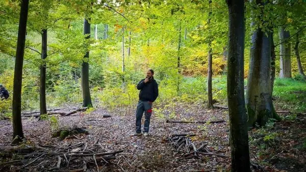 Mann steht in einem Wald und betrachtet Holzstapel am Boden
