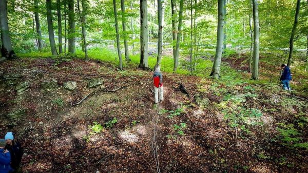 Person balanciert auf einer selbstgebauten Seilbrücke zwischen Bäumen im Wald