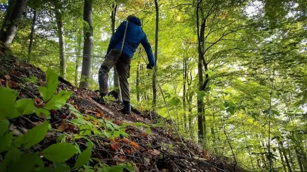 Person klettert einen steilen Hang im Wald hinauf