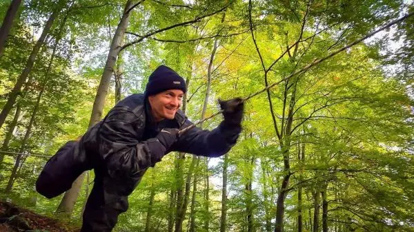 Person schwingt sich an einem Seil durch den Wald