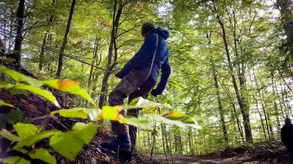 Person seilt an einem Hang in einem Wald ab