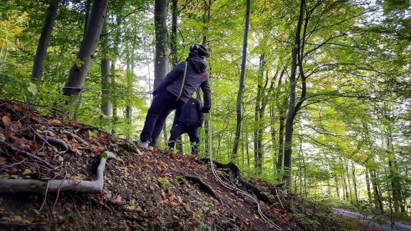 Person steht auf einem Hang im Wald und schaut in die Ferne