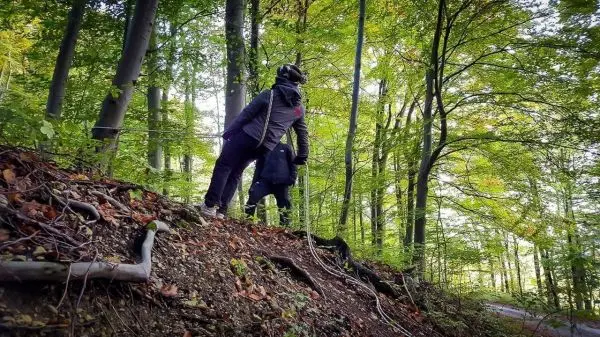 Person steht auf einem Hang im Wald und schaut in die Ferne