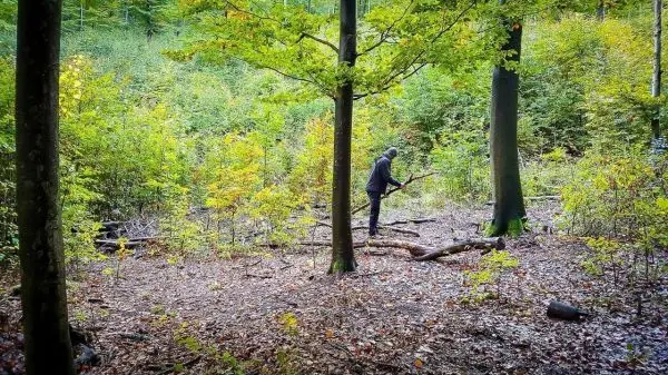 Person steht zwischen Bäumen und bearbeitet einen Ast im Wald