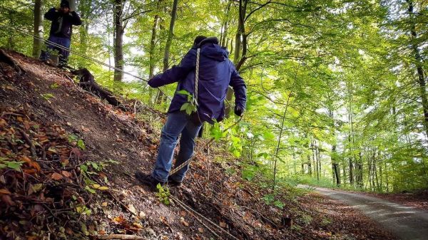 Seil wird verwendet, um einen Hang im Wald hinunterzusteigen