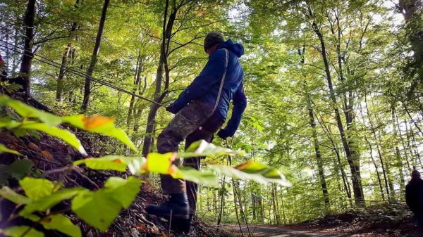 Seil wird zur Querung eines Hangs in einem Wald genutzt