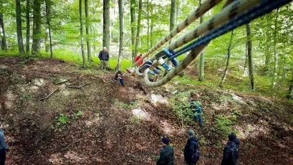 Seilbrücke verbindet zwei Waldabschnitte, Teilnehmer stehen am Hang
