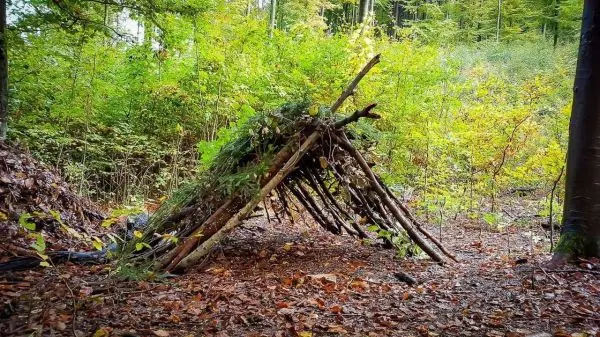Tarp-Notunterkunft aus Ästen und Blättern im Wald aufgebaut
