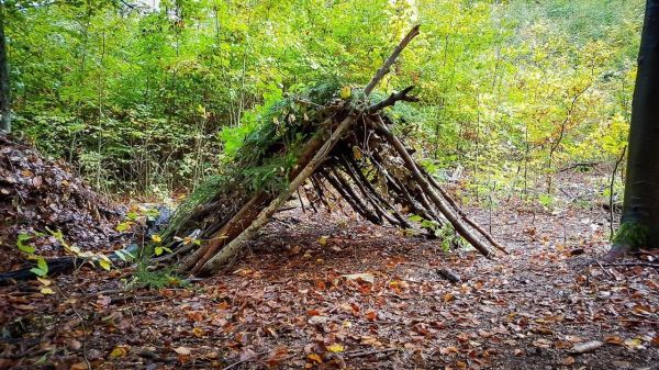 Tarp-Notunterkunft aus Ästen und Laub im Wald aufgebaut