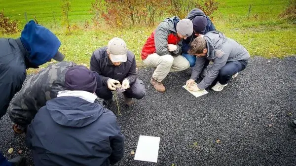 Teilnehmer untersuchen Pflanzen und Notizen auf dem Boden