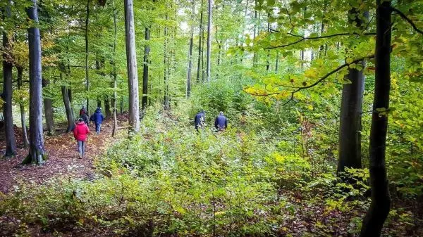 Wanderer auf einem schmalen Pfad durch einen dichten Wald mit Bäumen und Sträuchern