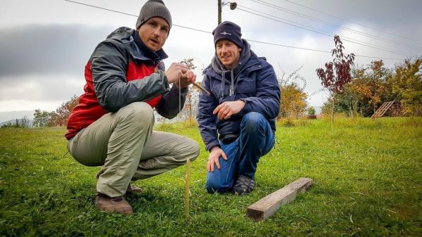 Zwei Personen knien auf dem Gras und binden eine Schnur an einen Holzpfahl