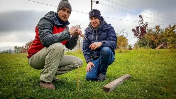 Zwei Personen knien auf dem Gras und binden eine Schnur an einen Holzpfahl