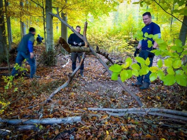 Holzkonstruktion wird im Wald mit Ästen und Zweigen errichtet