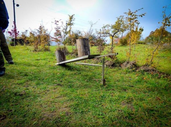 Holzplattform auf zwei Baumstämmen mit Metallgestell im Freien