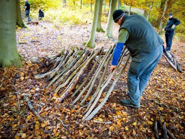 Holzstämme werden für eine Tarp-Notunterkunft aufgeschichtet